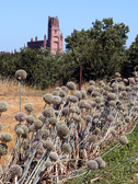 Nous sommes à la campagne, à l'ouest d'Albi, et nous aperçevons la cathédrale Sainte-Cécile à travers les jardins.