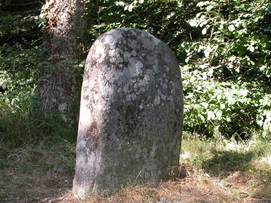 Au coeur de la forêt, une petite statue menhir dont on a bien du mal à distinguer les sculptures.