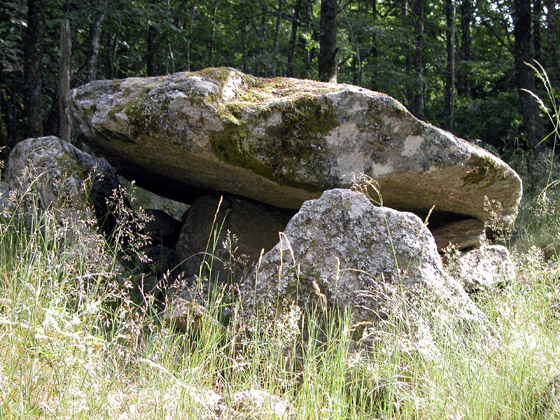 Beau petit dolmen dans la forêt