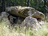 Beau petit dolmen dans la forêt