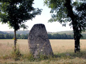 Sur le bord de la route, devant le Pré du Roi, entre deux arbres, un mehnir légèrement incliné