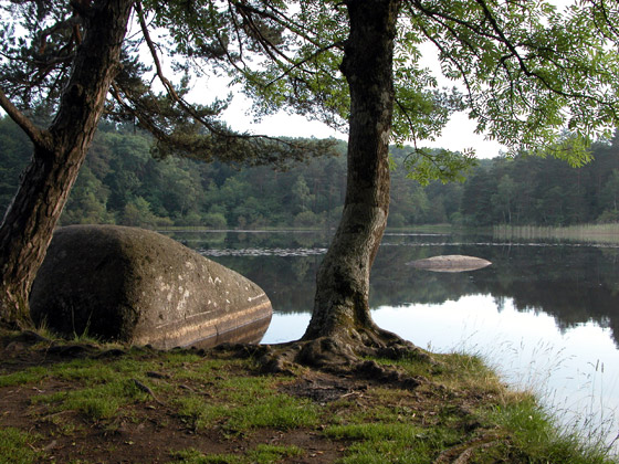 Le lac du merle, avec quelques rochers qui émergent de temps en temps de l'eau. Ce lac n'est pas très profond, mais il est très vaseux.